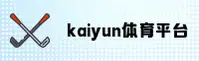 kaiyun世界杯官方网站